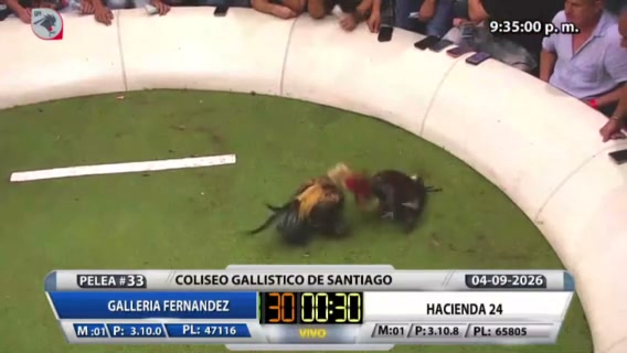 Coliseo broadcast preview
